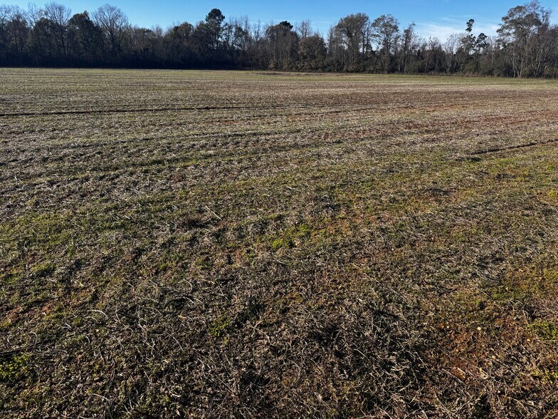 More Photos Of 0 Wiggins Road, Frisco City Land For Sale