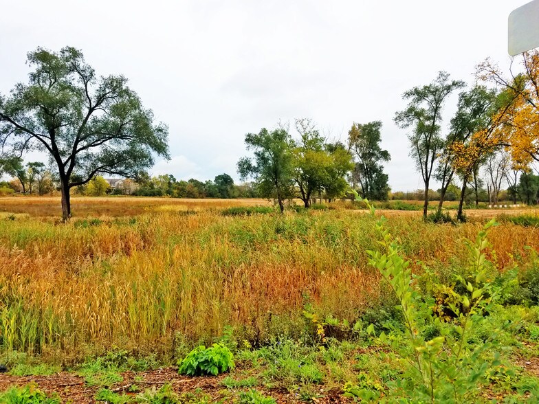 More Photos Of 34165 N Barron Blvd, Grayslake Land For Sale