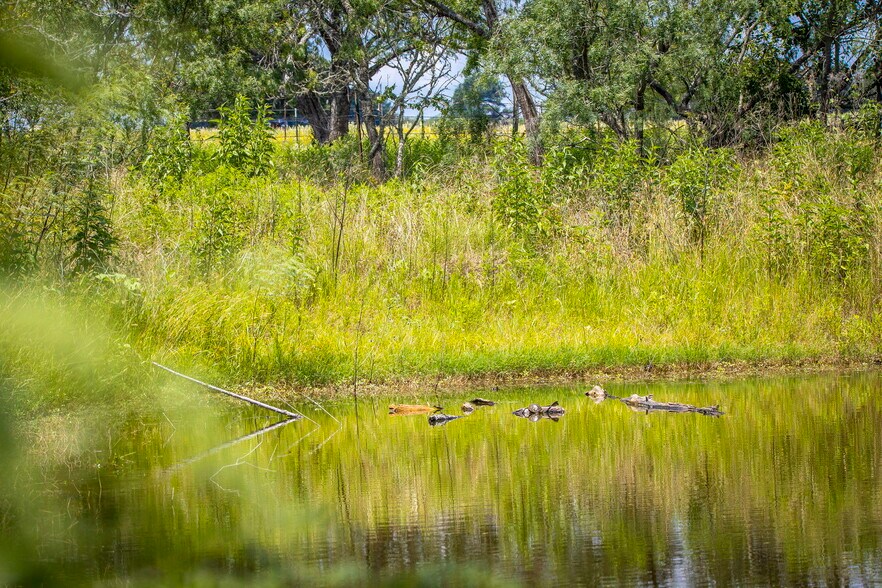 More Photos Of 181 Pine Meadow Rd, Seguin Land For Sale