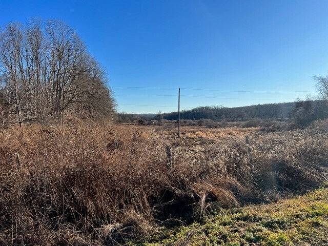 More Photos Of 0 South Rd, Marlborough Land For Sale