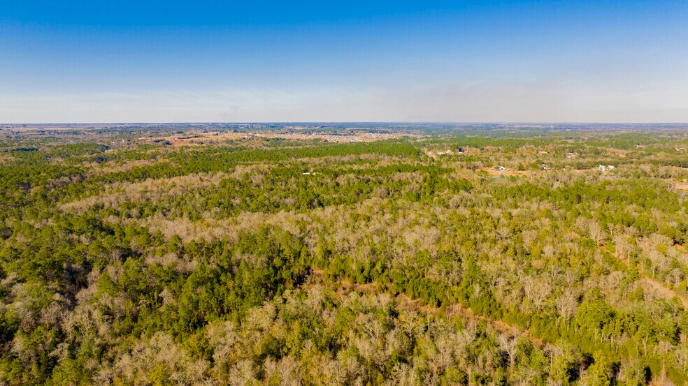 More Photos Of 12960 County Road 48, Silverhill Land For Sale