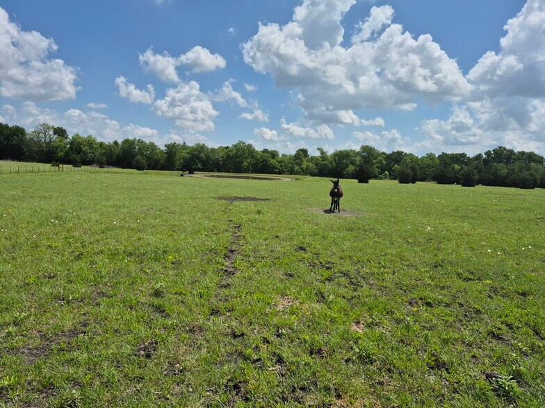 More Photos Of 9561 N TX-50 Hwy, Ladonia Land For Sale