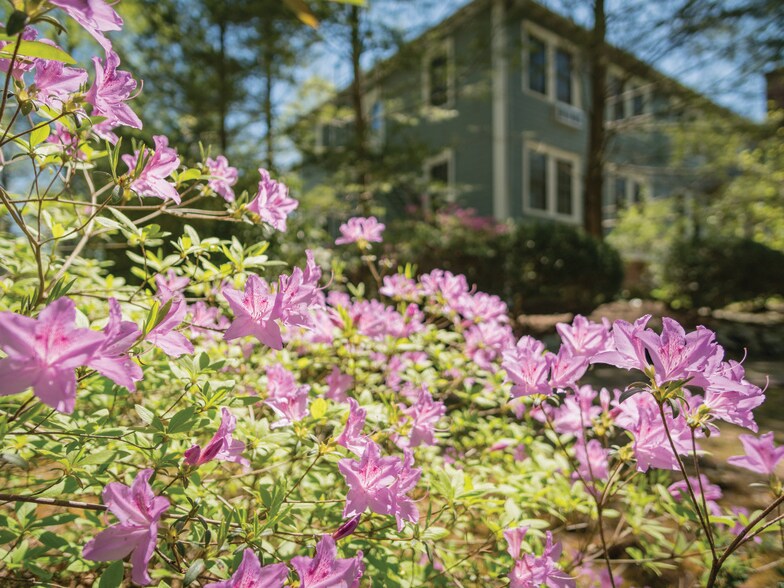 More Photos Of 86 Lily Pad Ln, Flat Rock Hotel For Sale