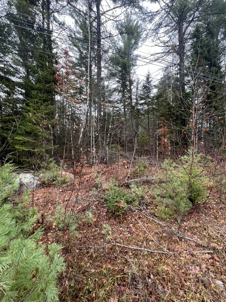 More Photos Of Gray Fox Road, Effingham Land For Sale