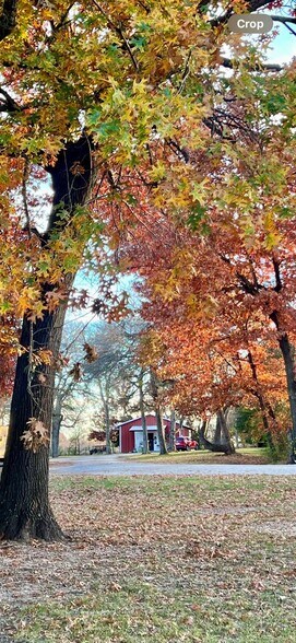 More Photos Of 6869 State 121 hwy, Bonham Specialty For Sale