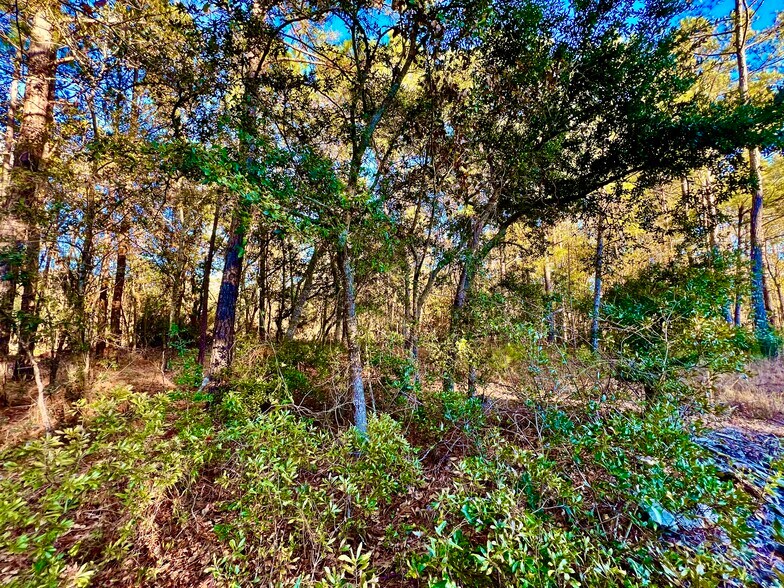 More Photos Of 20689 US Highway 17, Hampstead Land For Sale