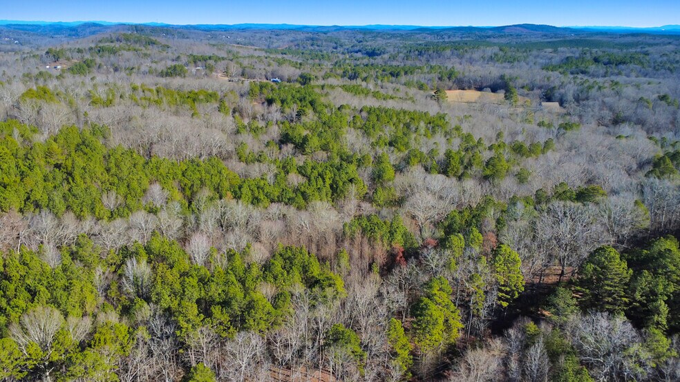 More Photos Of 277 Bethel Church Rd SE, Silver Creek Land For Sale