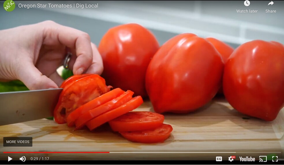 More Photos Of 23175 NE Ridge Rd, Gaston Land For Sale