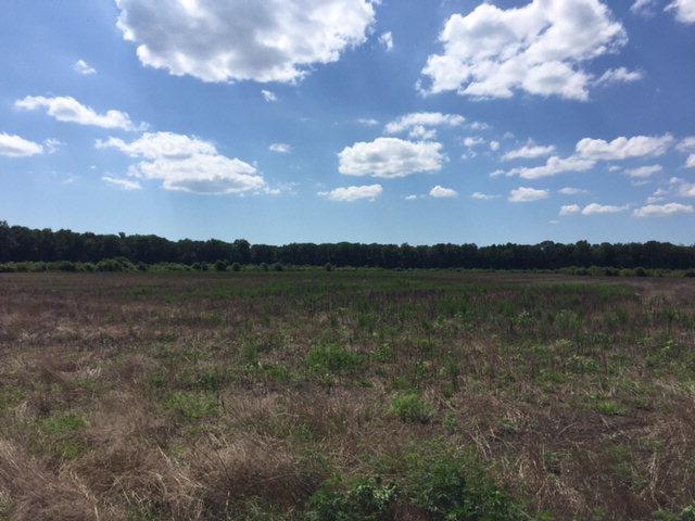 Primary Photo Of , New Church Land For Sale