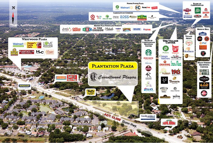 More Photos Of 4303-4349 Gunn Hwy, Tampa Unknown For Lease
