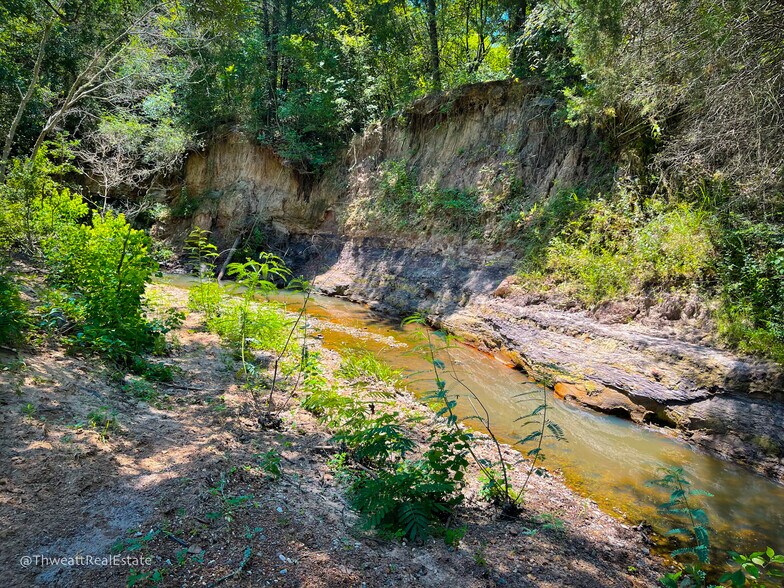 More Photos Of Hwy 79 300 CR 354 Gause Texas 77857, Gause Land For Sale