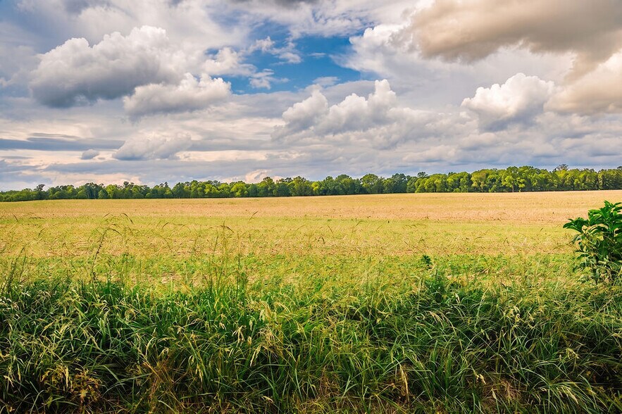 More Photos Of 6839 BUTLER ISRAEL Rd, College Corner Land For Sale