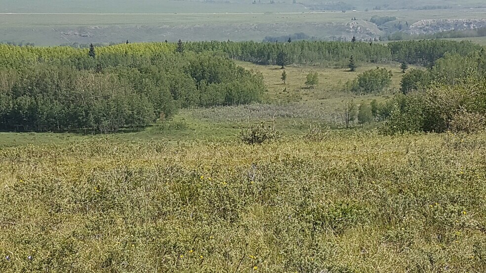 More Photos Of 1 Bow River, Rocky View No 44 Land For Sale