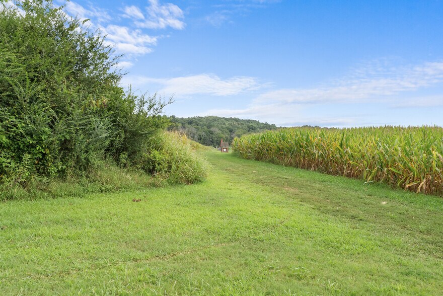 More Photos Of 2942 Newman Rd, Ardmore Land For Sale