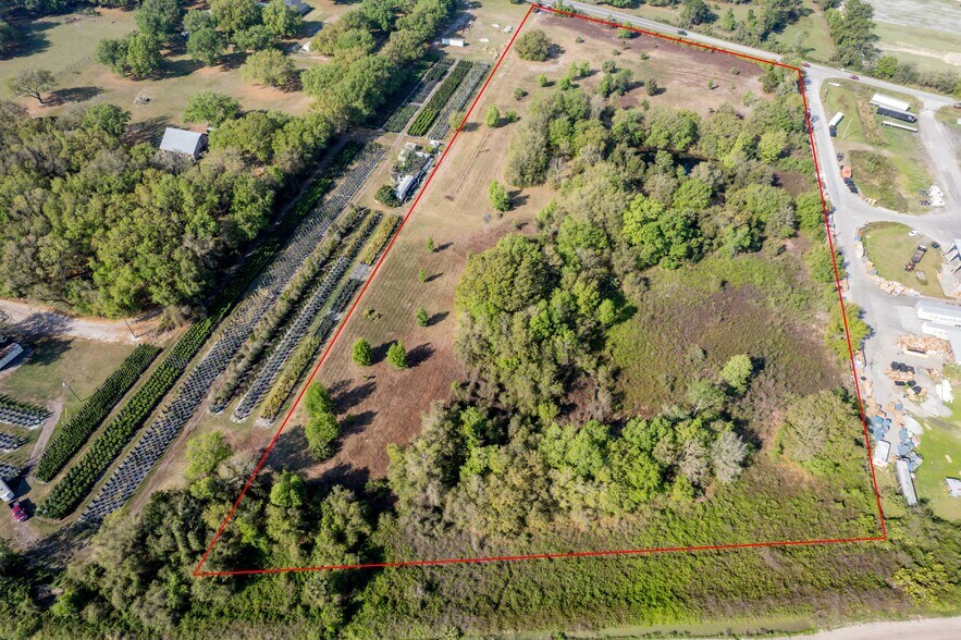 26034 County Road 448A, Mount Dora, FL 32757 Land For Sale