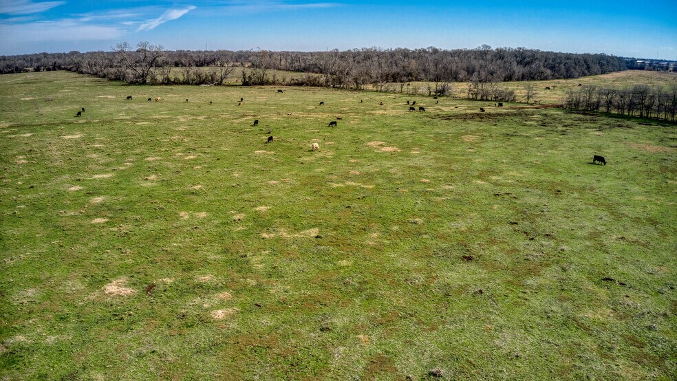 More Photos Of 42919 Addie Gee rd, Hempstead Land For Sale