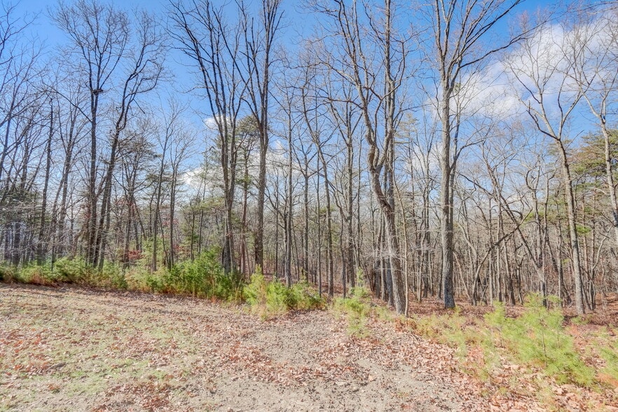 More Photos Of 1915 Tower Trl, Waleska Land For Sale