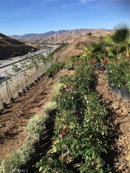 More Photos Of 10200 Willow Springs Lane, Sunland Land For Sale