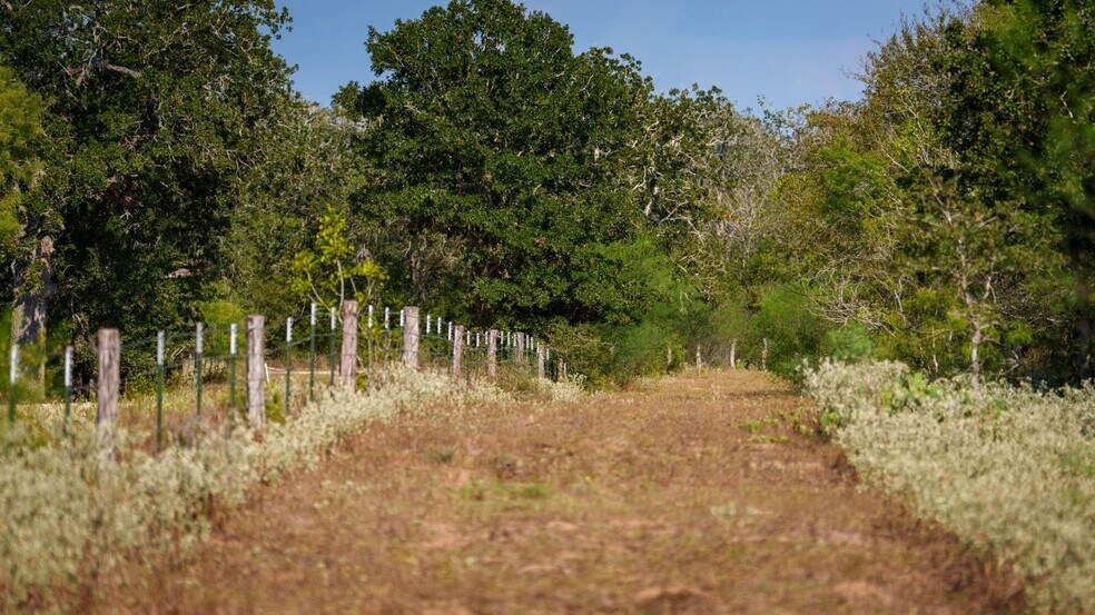 More Photos Of 879 County Road 421, Gonzales Land For Sale