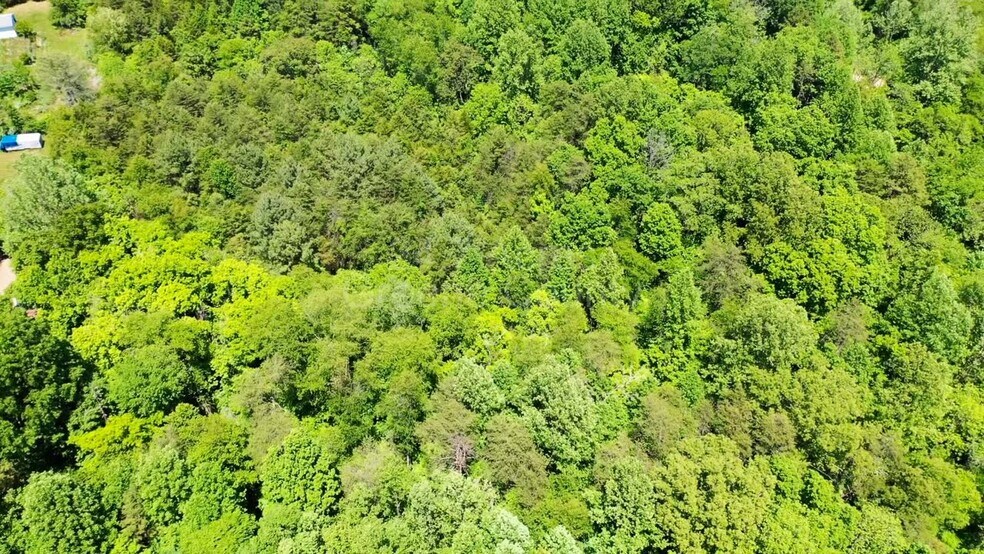 Primary Photo Of 1245 Carpenters Mill Rd, Ruckersville Land For Sale
