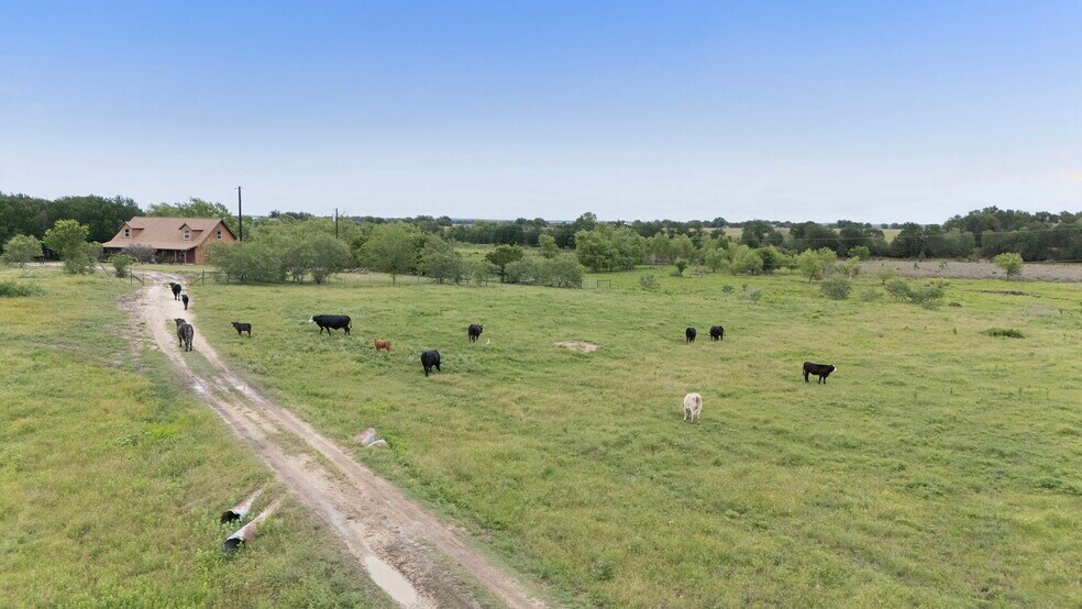 More Photos Of 51 County Road 436, Thrall Land For Sale