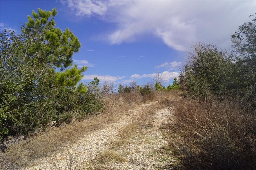 More Photos Of 488 Kelley Rd, Bastrop Land For Sale