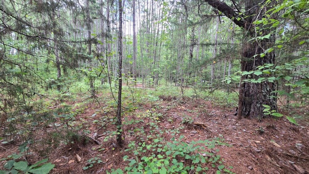 More Photos Of 5171 Ga Highway 138, Loganville Land For Sale