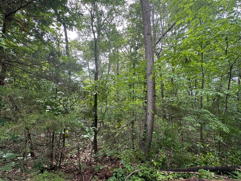 More Photos Of 3309 NC 421, Marble Falls Land For Sale