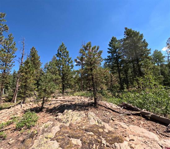 More Photos Of 48 Ponderosa Trl, Durango Land For Sale