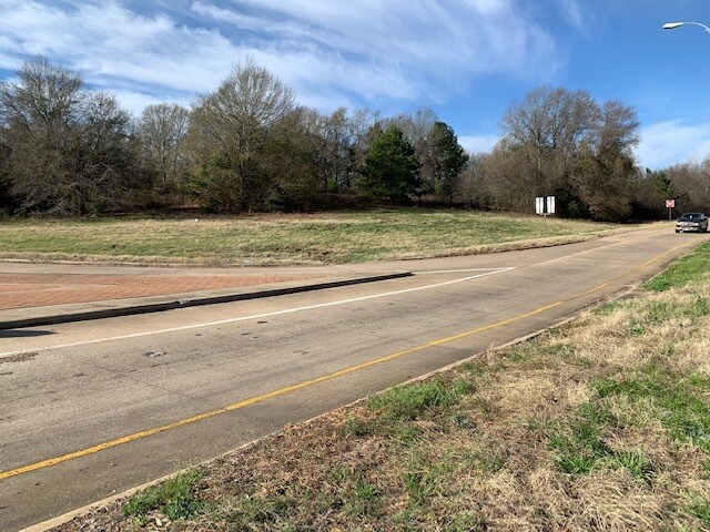 More Photos Of 155 N State Highway 155, Palestine Land For Sale