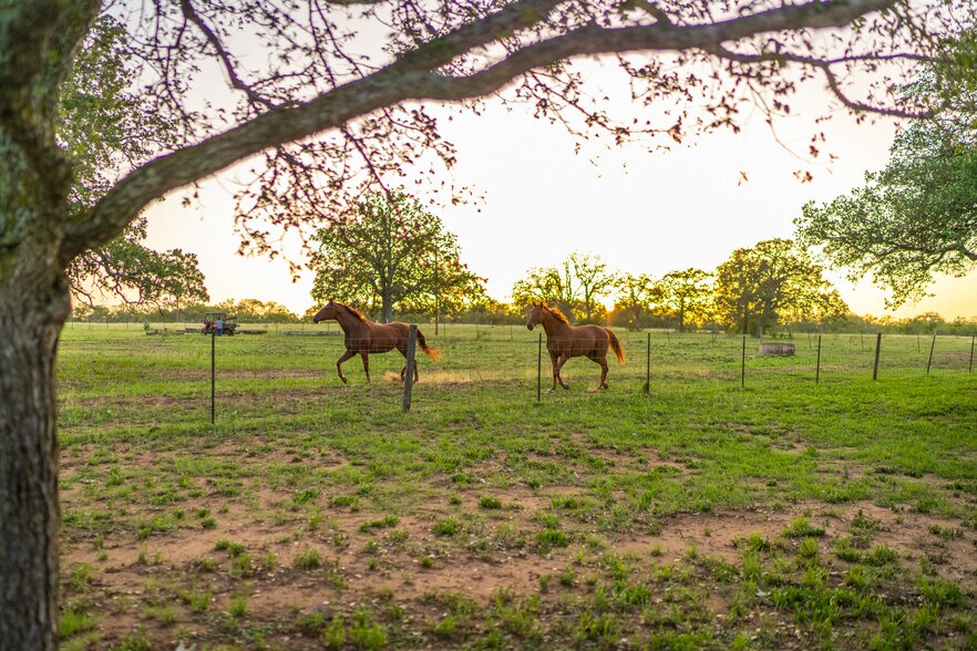 More Photos Of 5279 FM 1117, Nixon Land For Sale