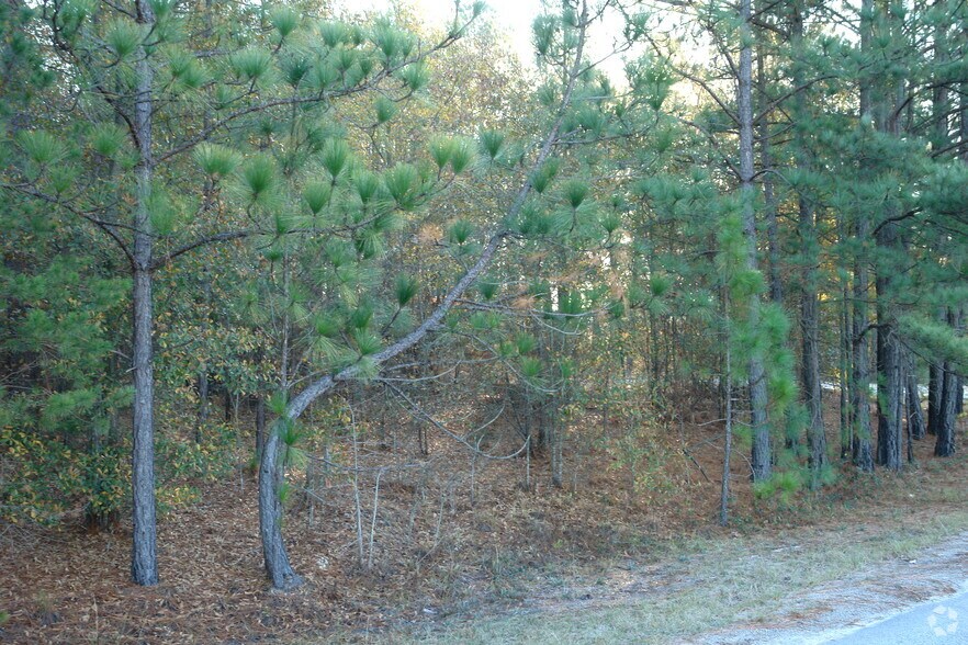 More Photos Of Wilson Blvd, Blythewood Land For Sale