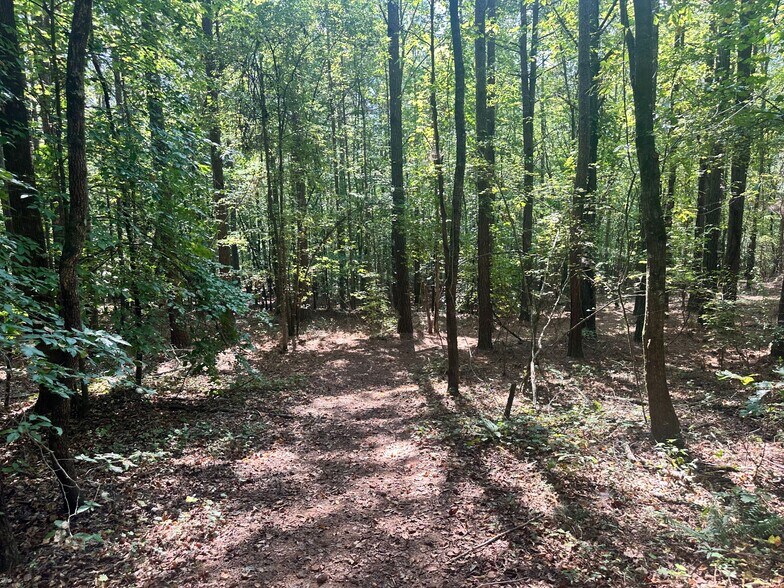 More Photos Of 00 Frix Rd, Cumming Land For Sale