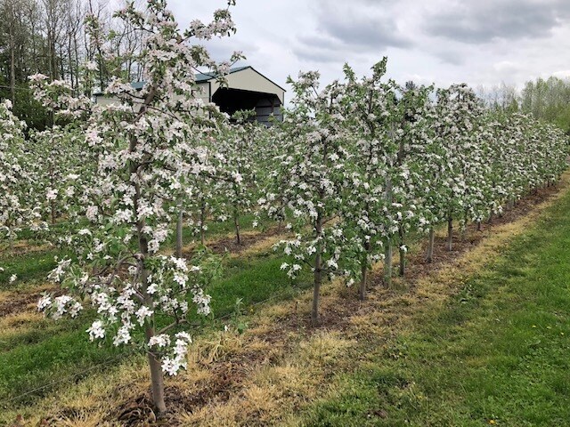 More Photos Of 5630 Norris Rd, North Rose General Retail For Sale