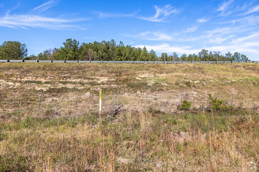 More Photos Of 215 Jimmy DeLoach Pky, Savannah Land For Sale