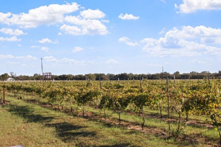 More Photos Of 11157 US 290, Hye Winery Vineyard For Sale