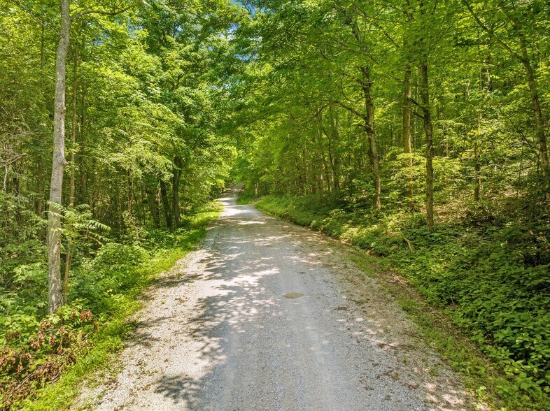 More Photos Of 1945 Pittman Branch Rd, Mount Vernon Land For Sale