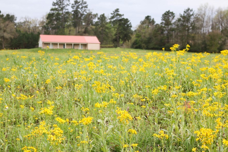 More Photos Of 12244 Serenity Rose Dr, Conroe Lodge Meeting Hall For Sale