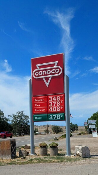 More Photos Of , Dinosaur General Retail For Sale