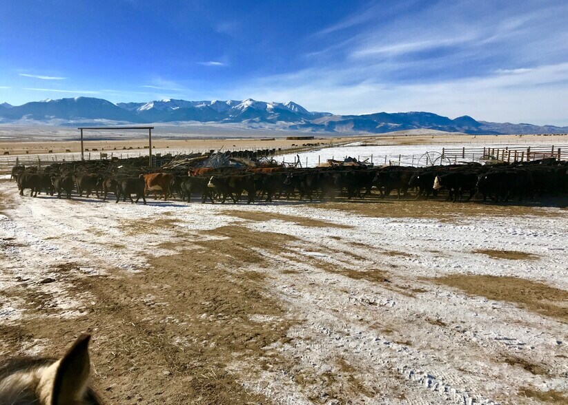 More Photos Of 3750 Pahsimeroi Rd, May Land For Sale