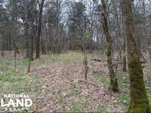 More Photos Of 1351A Old Water Works Rd SW, Fort Payne Land For Sale