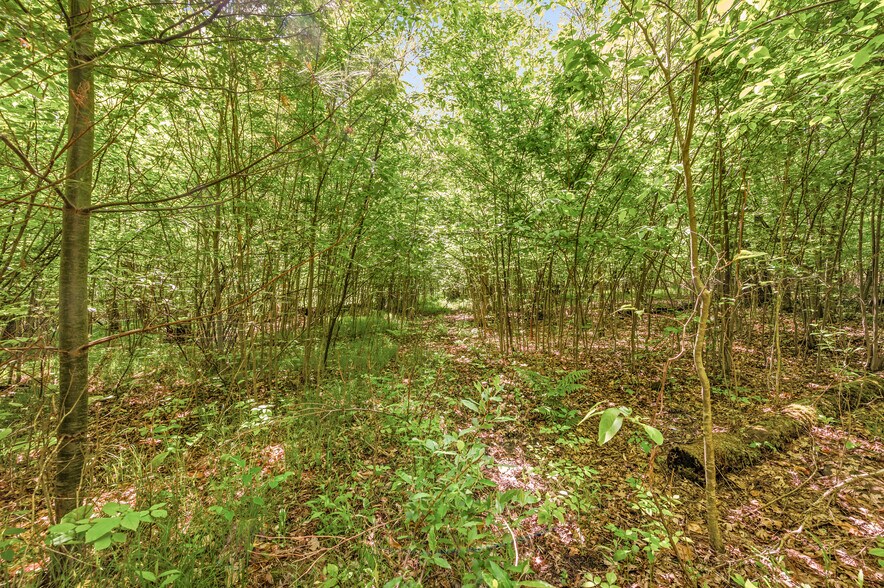 More Photos Of V/L 220th Ave, Big Rapids Land For Sale