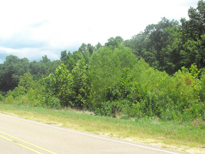 More Photos Of NOBLIN BRIDGE RD, Pelahatchie Land For Sale