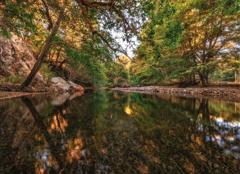 More Photos Of 220 Wilder Ridge rd, Honeydew Land For Sale