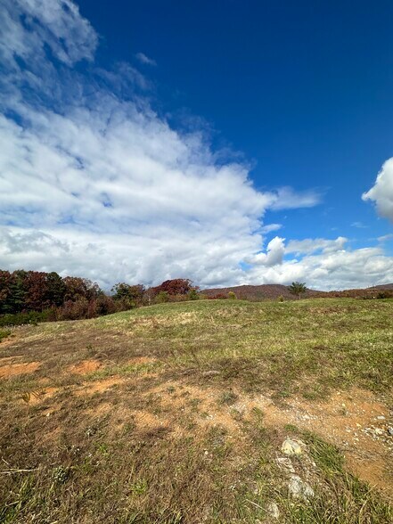 More Photos Of 0 Cove, Roanoke Land For Sale