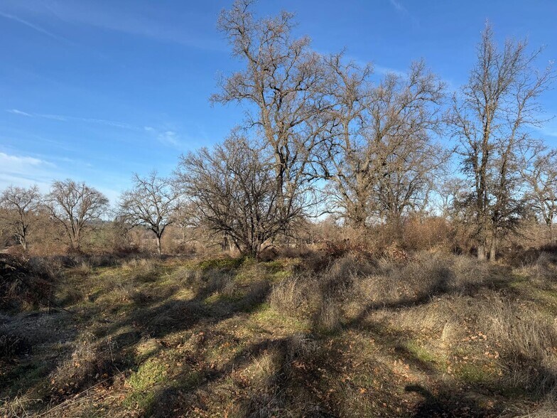 More Photos Of 17238 Carrie Ann Ln, Penn Valley Land For Sale