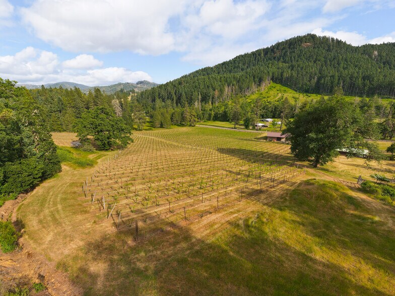 More Photos Of 1329 Larson Rd, Roseburg Winery Vineyard For Sale