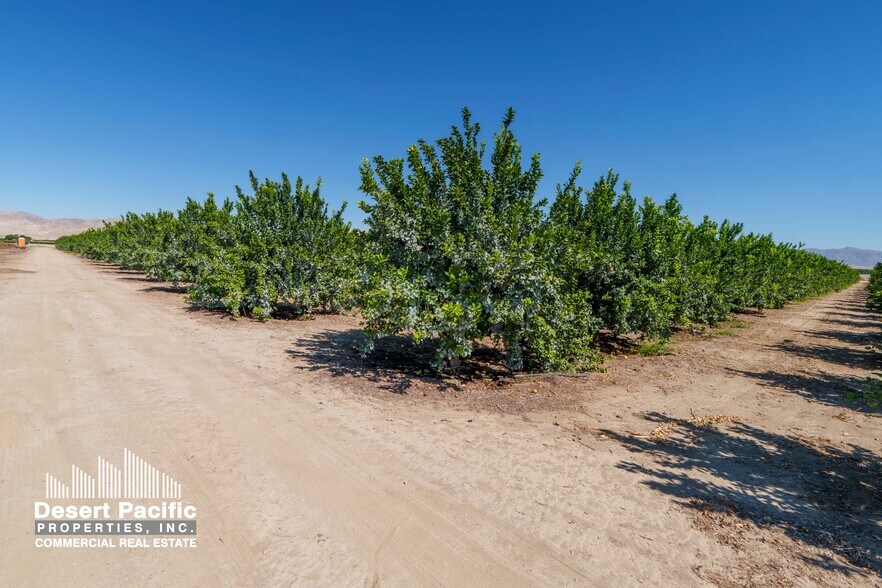 More Photos Of Wheeler St, Mecca Land For Sale