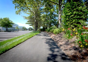 More Photos Of 175 Broadhollow Rd, Melville Office For Lease