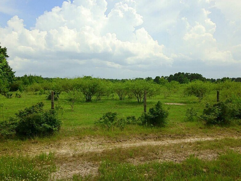 More Photos Of 0 Hwy 90 Off, Crosby Land For Sale